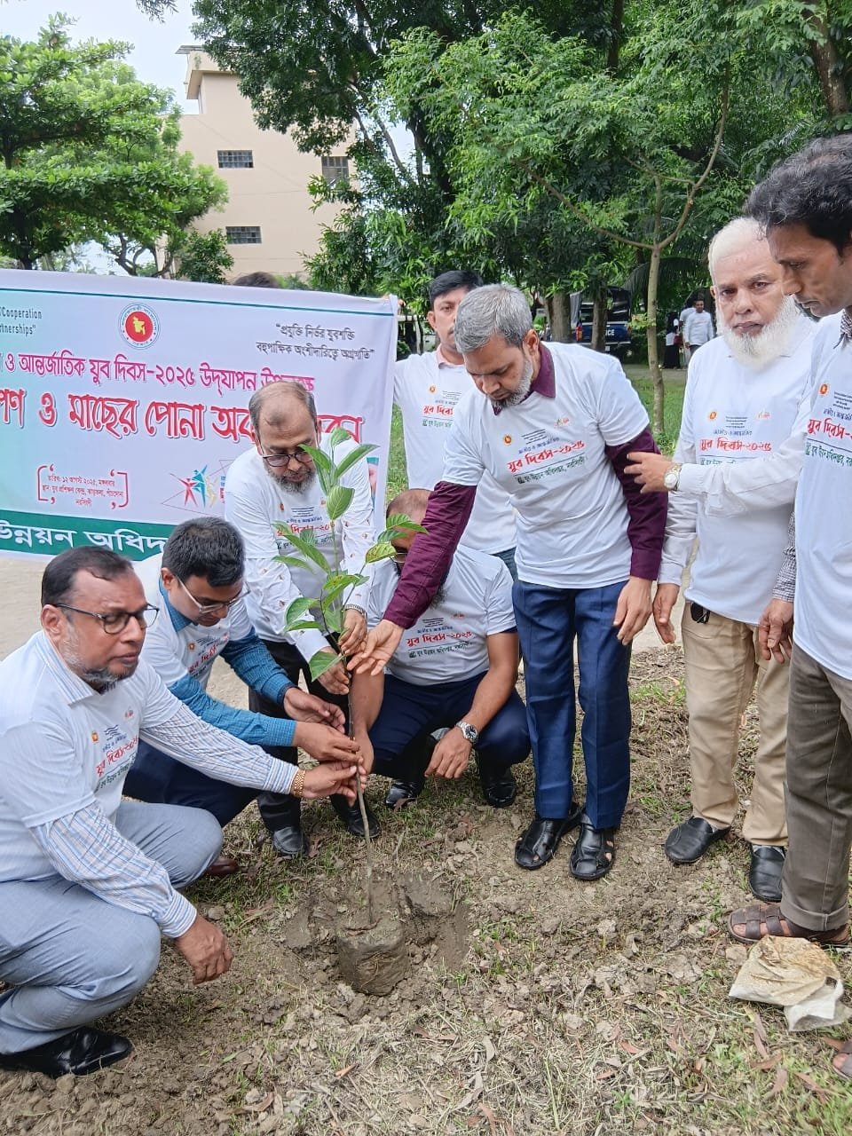 Men planting a tree sapling